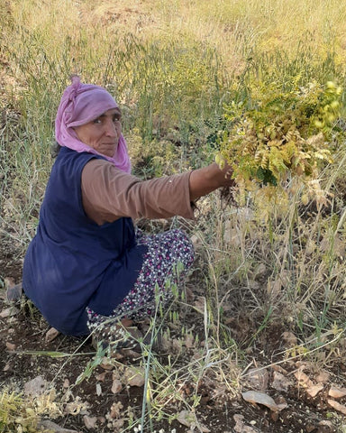 diyarbakir-beyaz-nohut-1kg - HB-152