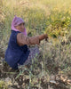 diyarbakir-beyaz-nohut-1kg - HB-152