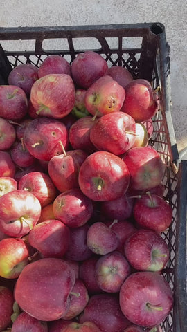 elma-sirkesi-500-ml - HB-091