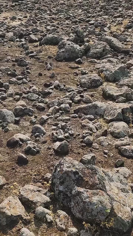 karacadag-pirinci-1-kg - HB-052