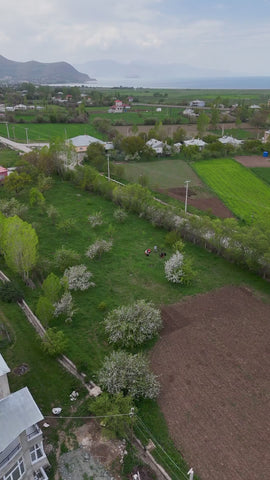 elma-sirkesi-500-ml - HB-079