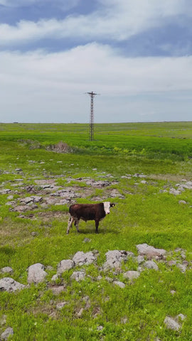 karacadag-pirinci-1-kg - HB-027