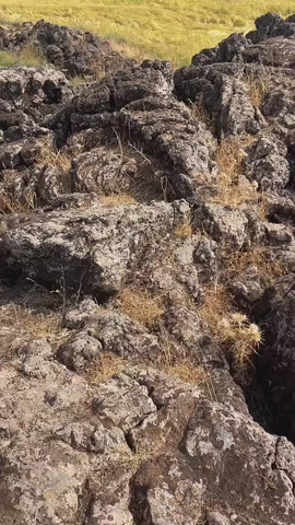 karacadag-pirinci-1-kg - HB-201