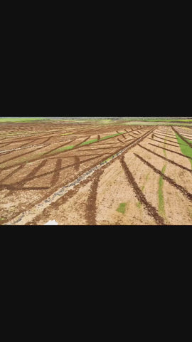 karacadag-pirinci-1-kg - HB-160